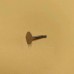 Set of 4PCS Dental Implant Saws Bone Expander Implant Saw Disk Kit for Implant Surgery and Dentistry