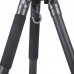 Carbon Fiber Tripod 6-10KG Load Capacity Telephoto Photography DSLR Tripod for Bird Watching/Shooting (without Gimbal)